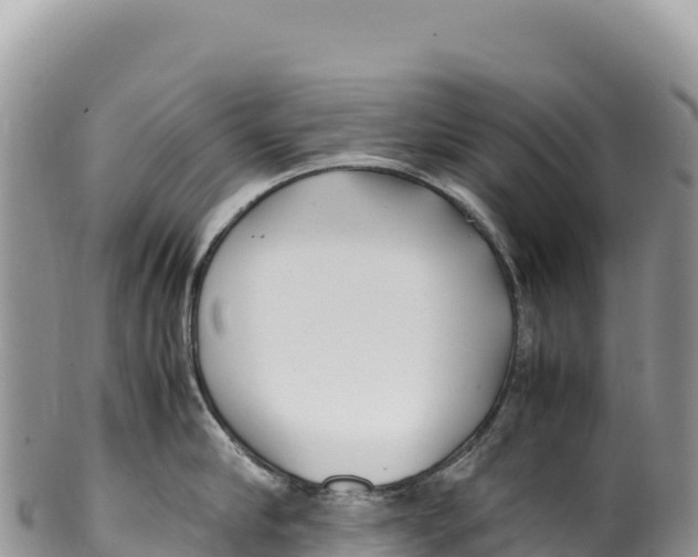 X0000100220910200806201504