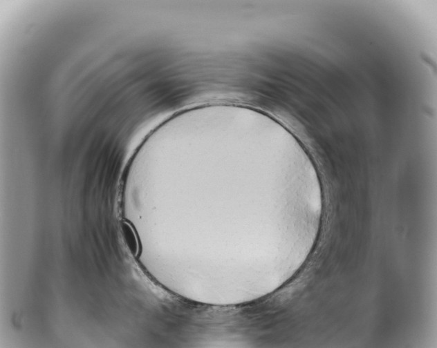 X0000100220912200806201504