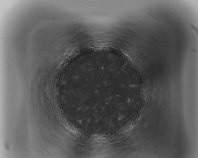 X0000100220913200806201504