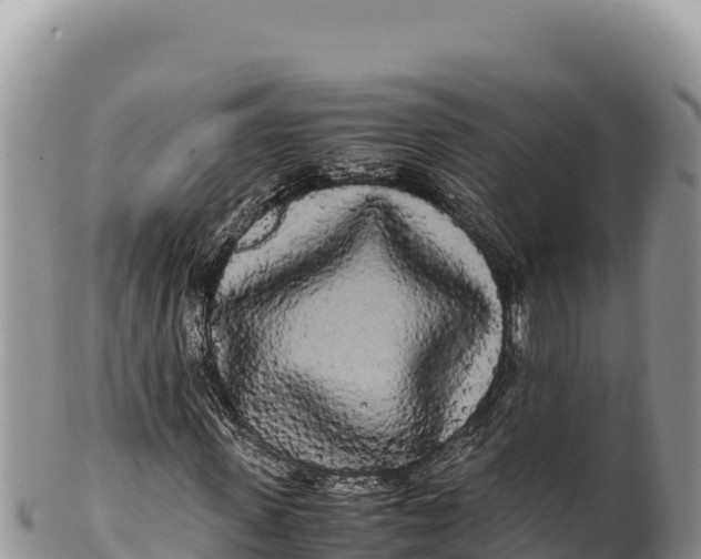 X0000100220915200806201504