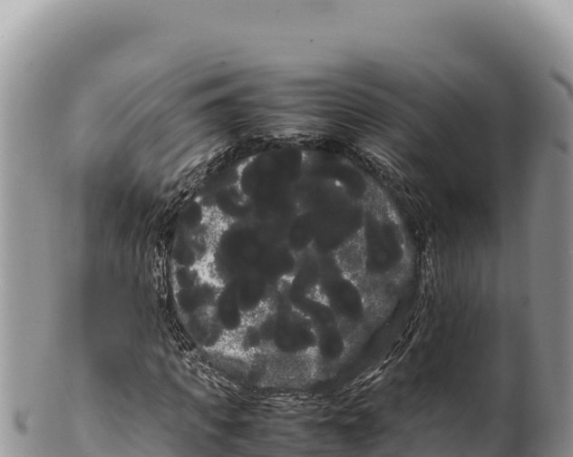 X0000100220917200806201504