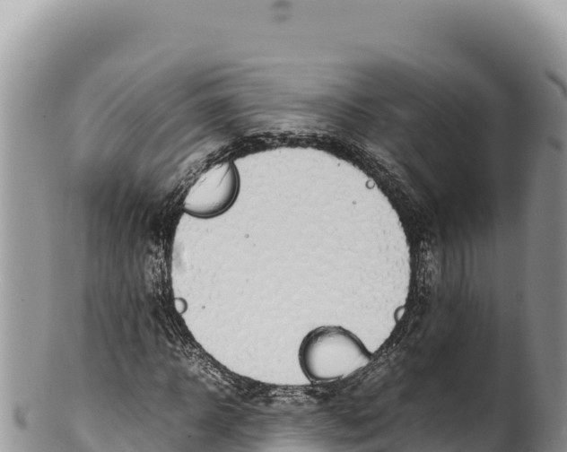 X0000100220918200806201504