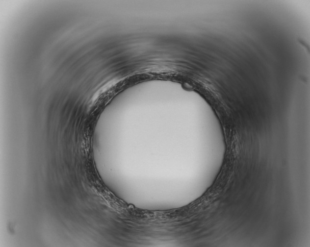 X0000100220920200806201504