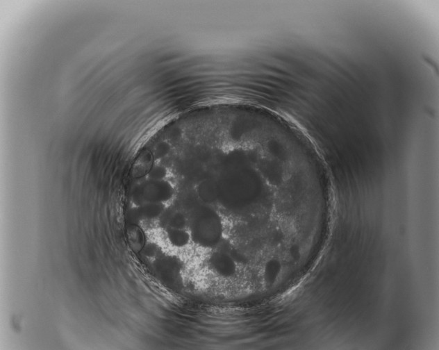 X0000100220921200806201504