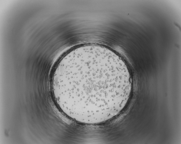 X0000100220924200806201504