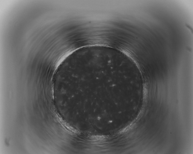 X0000100220925200806201504