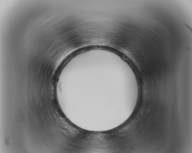 X0000100220926200806201504