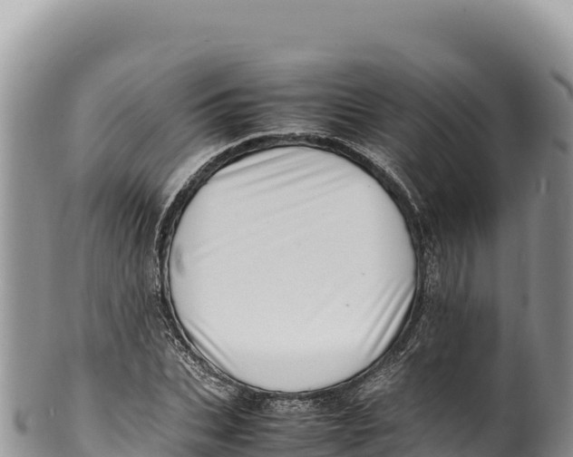 X0000100220927200806201504