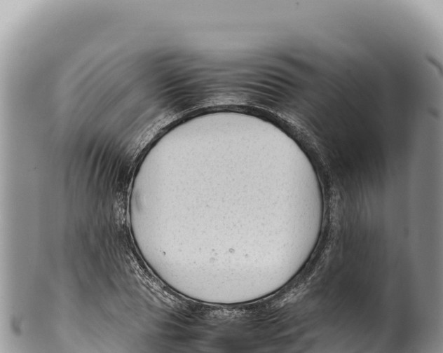 X0000100220929200806201504