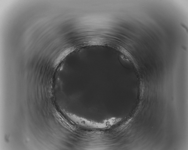 X0000100220930200806201504