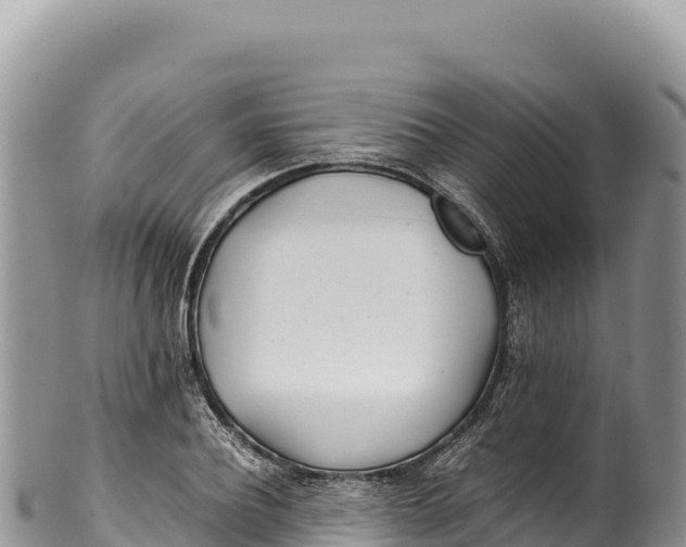 X0000100220932200806201504