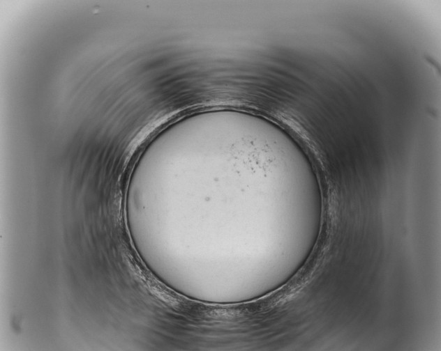 X0000100220933200806201504