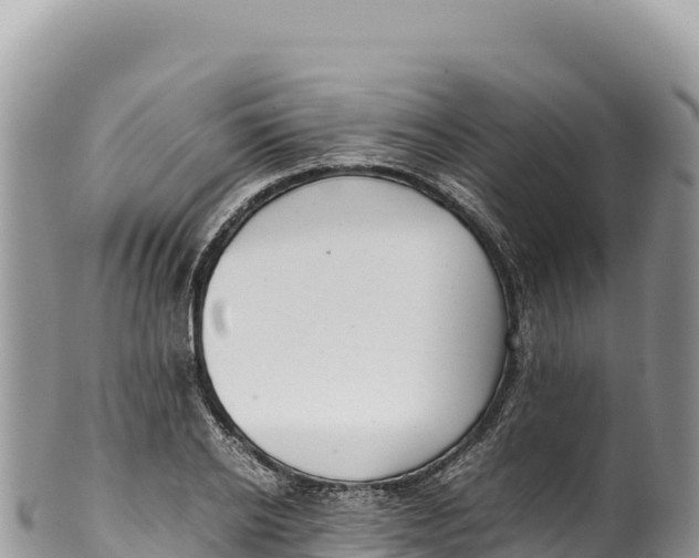 X0000100220934200806201504