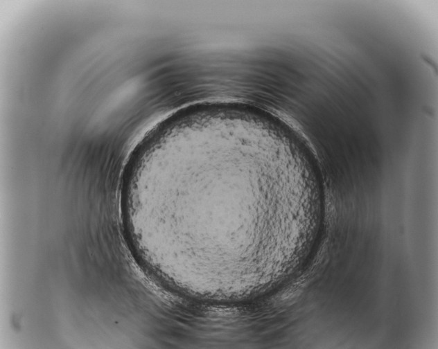 X0000100220935200806201504