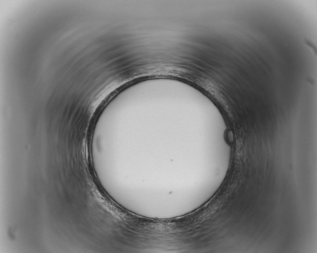 X0000100220936200806201504