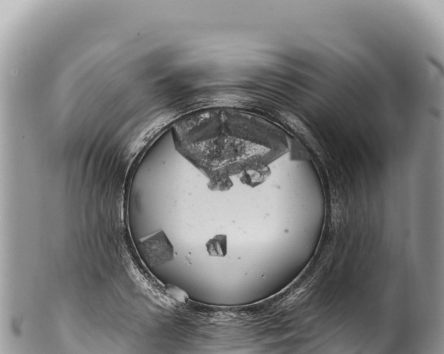 X0000100220938200806201504