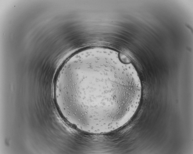 X0000100220940200806201504