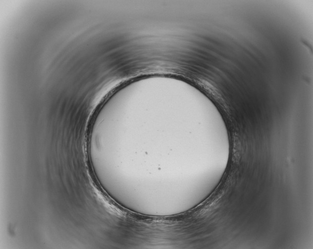 X0000100220942200806201504