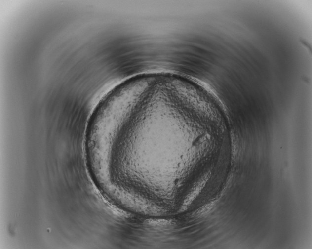 X0000100220943200806201504