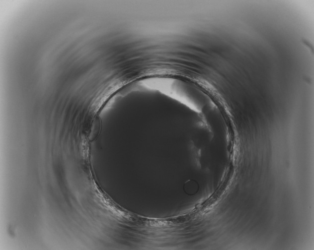 X0000100220945200806201504