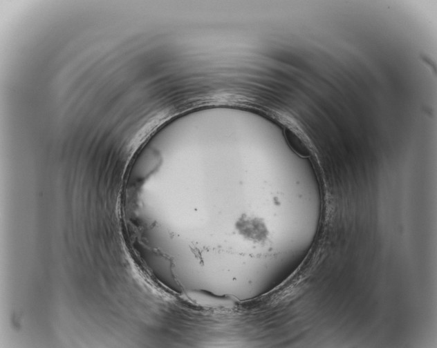 X0000100220946200806201504