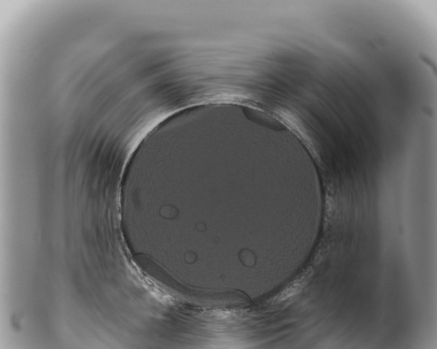 X0000100220948200806201504