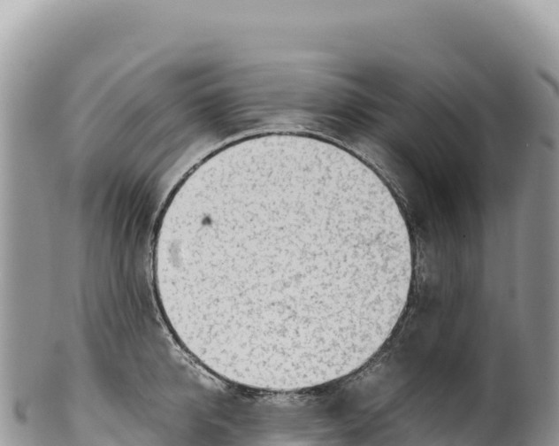 X0000100220950200806201504