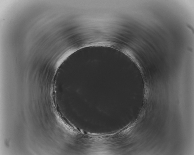 X0000100220952200806201504