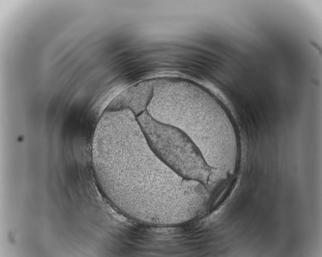 X0000100220953200806201504