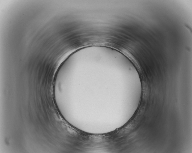 X0000100220956200806201504