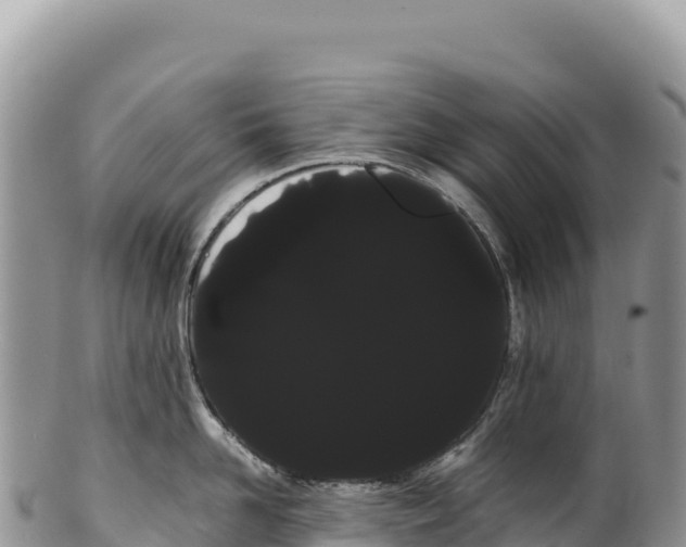 X0000100220958200806201504