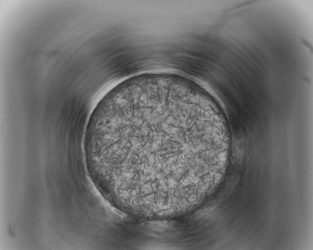 X0000100220959200806201504