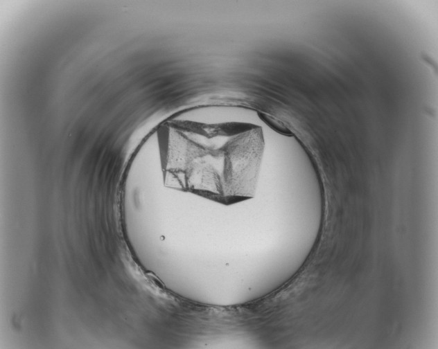 X0000100220960200806201504