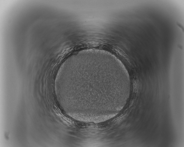 X0000100220961200806201504