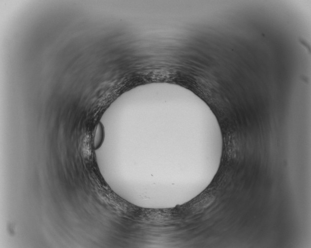 X0000100220962200806201504