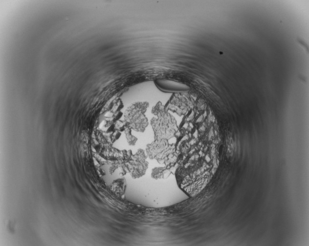 X0000100220964200806201504