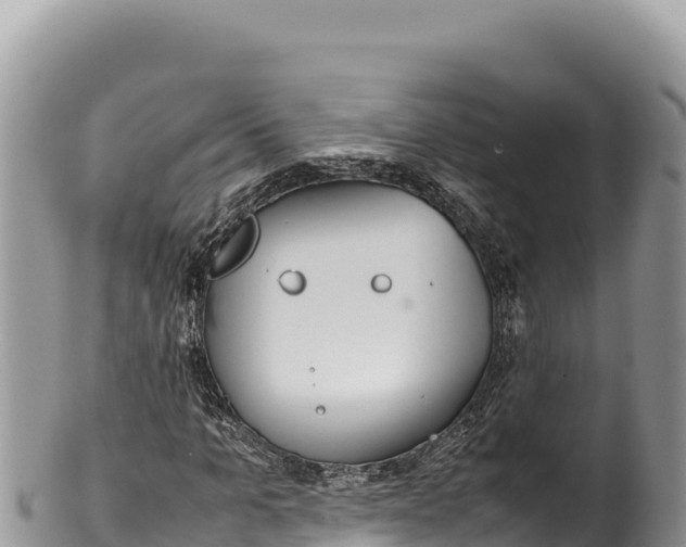 X0000100220965200806201504