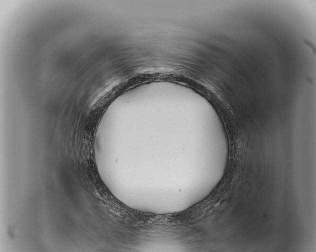 X0000100220967200806201504