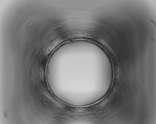 X0000100220969200806201504