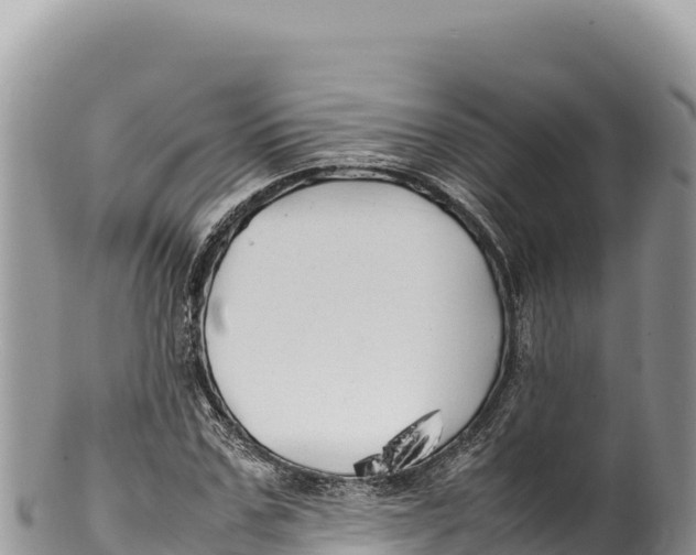 X0000100220971200806201504