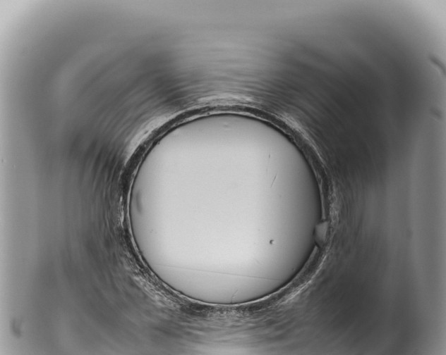 X0000100220973200806201504