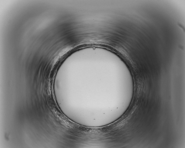 X0000100220974200806201504