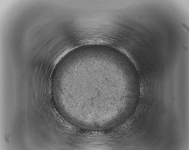 X0000100220975200806201504