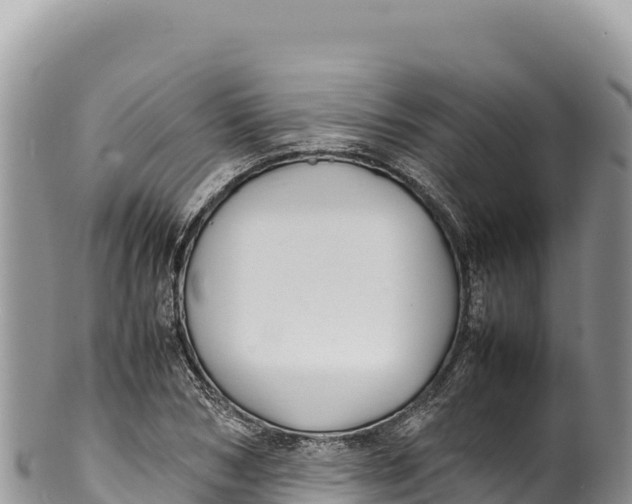 X0000100220978200806201504