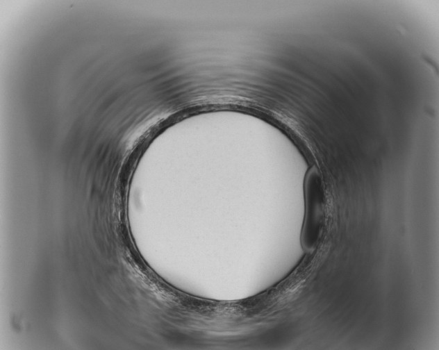 X0000100220979200806201503