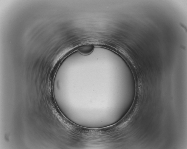 X0000100220981200806201503