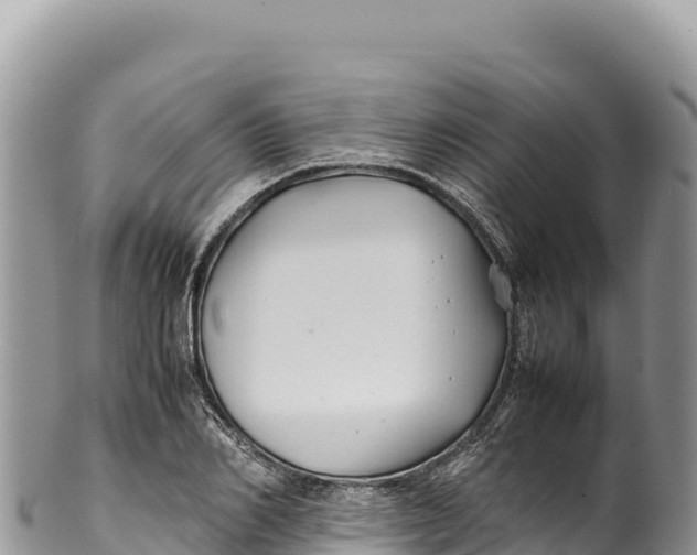 X0000100220982200806201503