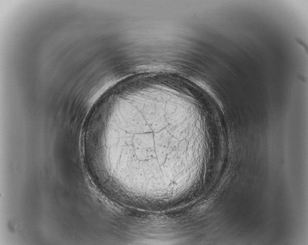 X0000100220983200806201503