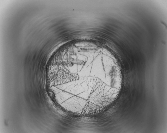 X0000100220984200806201503