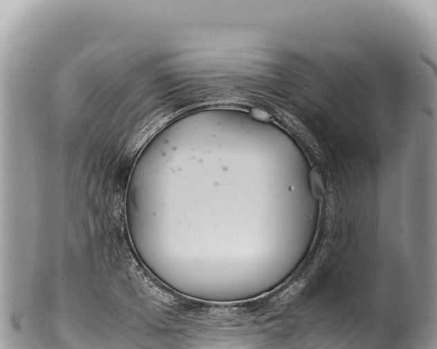 X0000100220985200806201503